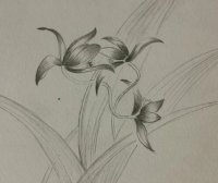 花不我待、尽在精微