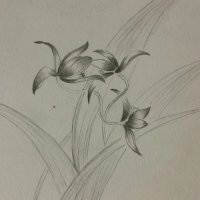 花不我待、尽在精微