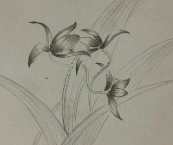 花不我待、尽在精微