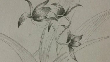 花不我待、尽在精微