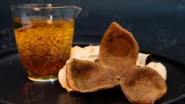 脾胃不好难长寿,吃点陈皮有必要