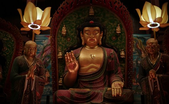 五年的时间,一群僧人,一众志愿者,在山里完成的壮举