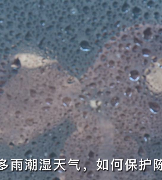 超级干货|详解20个新会陈皮避坑指南